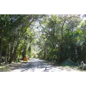 รูปถ่าย แอฟริกาใต้(South Africa) หุบเขาเนเจอร์ส(Nature's Valley) 2008-09 49