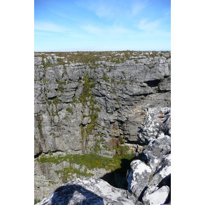 รูปถ่าย แอฟริกาใต้(South Africa) เคปทาวน์(Cape Town) ภูเขาเทเบิล(Table Mountain) 2008-09 103