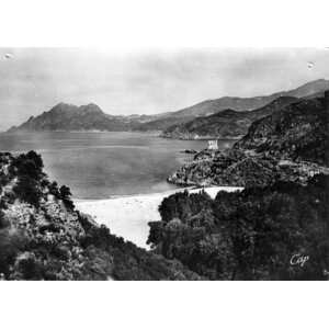 รูปถ่าย ฝรั่งเศส(France) คอร์สิคา(Corsica) โปสการ์ดเก่า(Old Postcards) 1900-01 259