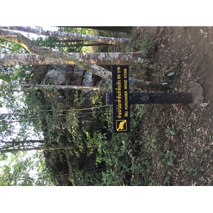 รูปถ่าย ไทย(Thailand) อุทยานแห่งชาติภูหินร่องกล้า(Phu Hin Rong Kla National Park) 2014-12 422
