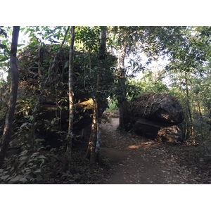 รูปถ่าย ไทย(Thailand) อุทยานแห่งชาติภูหินร่องกล้า(Phu Hin Rong Kla National Park) 2014-12 383