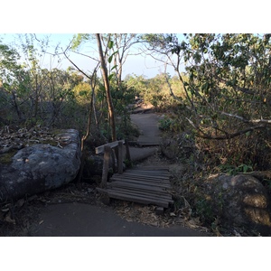 รูปถ่าย ไทย(Thailand) อุทยานแห่งชาติภูหินร่องกล้า(Phu Hin Rong Kla National Park) 2014-12 309