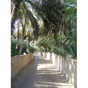รูปถ่าย สหรัฐอาหรับเอมิเรตส์(United Arab Emirates) อาเลอิน(Al Ain) โอเอซิสอัลไอน์(Al Ain Oasis) 2005-03 20