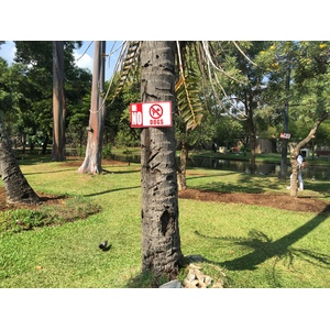 รูปถ่าย ไทย(Thailand) เชียงใหม่(Chiang Mai) 2014-12 6