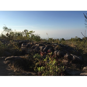 รูปถ่าย ไทย(Thailand) อุทยานแห่งชาติภูหินร่องกล้า(Phu Hin Rong Kla National Park) 2014-12 97