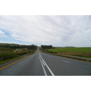 รูปถ่าย แอฟริกาใต้(South Africa) ถนนจากเฮอร์มานัสไปไนส์นา(Harmanus to Knysna road) 2008-09 95