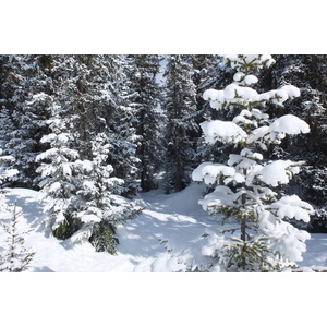 รูปถ่าย ฝรั่งเศส(France) เลทรัววาเล(Les 3 Vallees) 2013-03 234