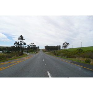 รูปถ่าย แอฟริกาใต้(South Africa) ถนนจากเฮอร์มานัสไปไนส์นา(Harmanus to Knysna road) 2008-09 92