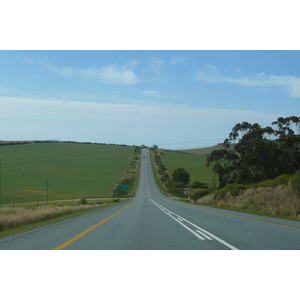 รูปถ่าย แอฟริกาใต้(South Africa) ถนนจากเฮอร์มานัสไปไนส์นา(Harmanus to Knysna road) 2008-09 82