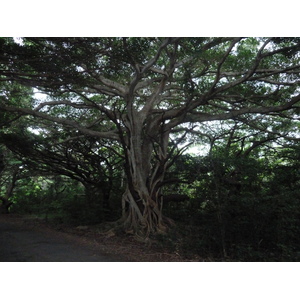 รูปถ่าย นิวแคลิโดเนีย(New Caledonia) เกาะต้นสน(Ile des pins) หาดคูโต(Kuto Beach) 2010-05 18