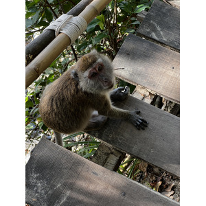 รูปถ่าย ไทย(Thailand) กระบี่(Krabi) 2023-01 110