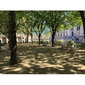 รูปถ่าย ฝรั่งเศส(France) ปารีสช่วงล็อกดาวน์(Paris lockdown) 2020-04 71