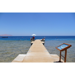 รูปถ่าย อียิปต์(Egypt) ชาร์มเอลชีค(Sharm el Sheikh) โรงแรมโฟร์ซีซันส์(Four Seasons Hotel) หาดโฟร์ซีซันส์(Four Seasons Beach) 2008-06 43