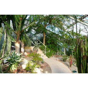 รูปถ่าย ฝรั่งเศส(France) นีส(Nice) สวนฟีนิกซ์(Phoenix Parc) 2007-10 11