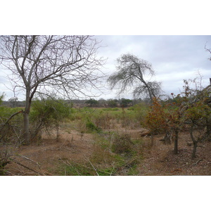 รูปถ่าย แอฟริกาใต้(South Africa) อุทยานแห่งชาติครูเกอร์(Kruger National Park) แม่น้ำซาเบิล(Sable River) 2008-09 83