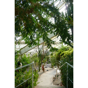 รูปถ่าย ฝรั่งเศส(France) นีส(Nice) สวนฟีนิกซ์(Phoenix Parc) 2007-10 29