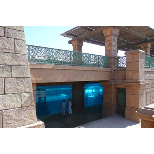รูปถ่าย สหรัฐอาหรับเอมิเรตส์(United Arab Emirates) ดูไบ(Dubai) สวนน้ำอควาเวนเจอร์ ดูไบ(Dubai Aquaventure) 2009-01 160