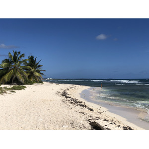 รูปถ่าย กวาเดอลูป(Guadeloupe) แซ็งฟร็องซัว(Saint Francois) 2021-02 21