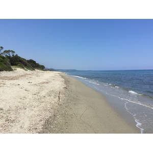 รูปถ่าย ฝรั่งเศส(France) คอร์สิคา(Corsica) 2015-05 2