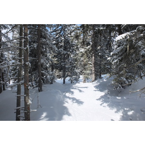 รูปถ่าย ฝรั่งเศส(France) เลทรัววาเล(Les 3 Vallees) 2013-03 174