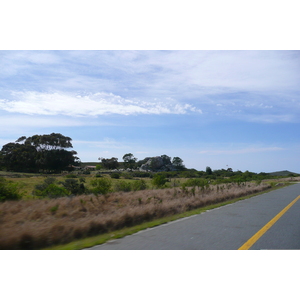 รูปถ่าย แอฟริกาใต้(South Africa) ถนนจากเฮอร์มานัสไปไนส์นา(Harmanus to Knysna road) 2008-09 111