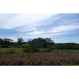 รูปถ่าย แอฟริกาใต้(South Africa) ถนนจากเฮอร์มานัสไปไนส์นา(Harmanus to Knysna road) 2008-09 116