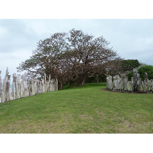 รูปถ่าย นิวแคลิโดเนีย(New Caledonia) เกาะต้นสน(Ile des pins) 2010-05 26