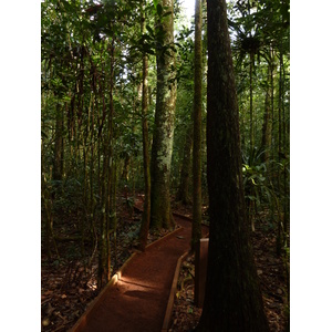 รูปถ่าย นิวแคลิโดเนีย(New Caledonia) อุทยานริเวียร์เบลอ(Parc de la Riviere Bleue) โรงแรมเลอกร็องกาโอรี(Le Grand Kaori) 2010-05 0