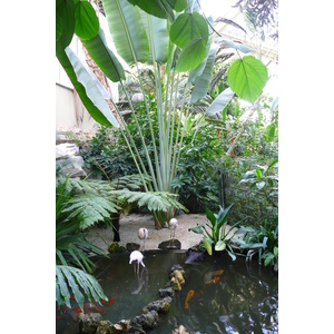 รูปถ่าย ฝรั่งเศส(France) นีส(Nice) สวนฟีนิกซ์(Phoenix Parc) 2007-10 110