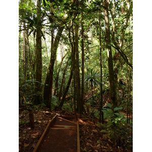 รูปถ่าย นิวแคลิโดเนีย(New Caledonia) อุทยานริเวียร์เบลอ(Parc de la Riviere Bleue) โรงแรมเลอกร็องกาโอรี(Le Grand Kaori) 2010-05 14