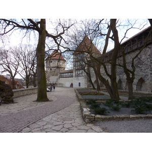 รูปถ่าย เอสโตเนีย(Estonia) ทาลลินน์(Tallinn) เมืองเก่าทาลลินน์(Old Tallinn) 2009-04 2