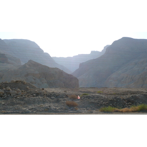 รูปถ่าย อิสราเอล(Israel) ทะเลดำ(Dead Sea) 2007-06 191