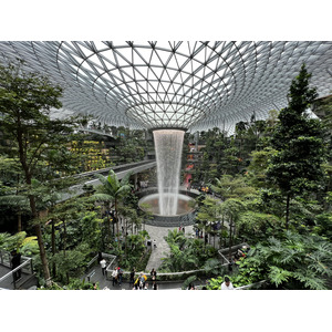 รูปถ่าย สิงคโปร์(Singapore) ท่าอากาศยานชางงี สิงคโปร์(Singapore Changi Airport) 2023-01 51