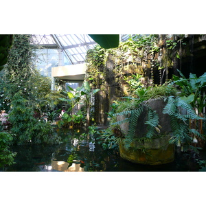 รูปถ่าย ฝรั่งเศส(France) นีส(Nice) สวนฟีนิกซ์(Phoenix Parc) 2007-10 27