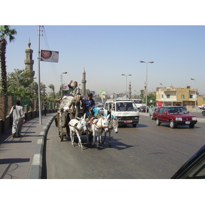 รูปถ่าย อียิปต์(Egypt) ไคโร(Cairo) 2004-09 71