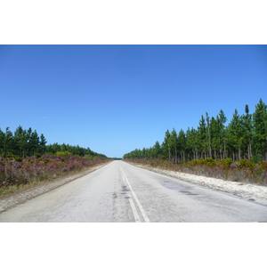 รูปถ่าย แอฟริกาใต้(South Africa) ถนนจากไนส์นาไปพอร์ตเอลิซาเบธ(Knysna to Port Elizabeth road) 2008-09 15