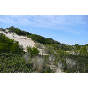 รูปถ่าย แอฟริกาใต้(South Africa) ถนนจากเฮอร์มานัสไปไนส์นา(Harmanus to Knysna road) 2008-09 86