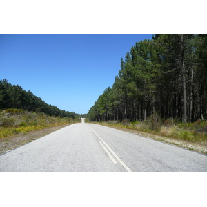 รูปถ่าย แอฟริกาใต้(South Africa) ถนนจากไนส์นาไปพอร์ตเอลิซาเบธ(Knysna to Port Elizabeth road) 2008-09 34