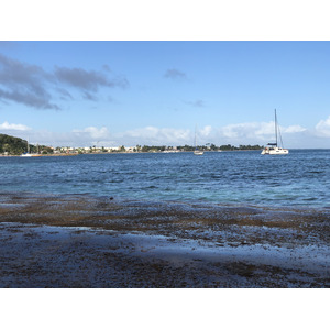 รูปถ่าย กวาเดอลูป(Guadeloupe) หาดลาการาแวล(La Caravelle Beach) 2021-02 28