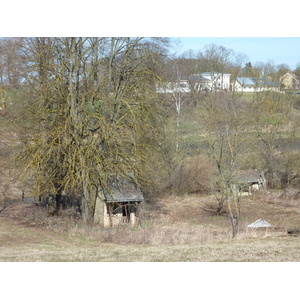 รูปถ่าย ลัตเวีย(Latvia) 2009-04 19