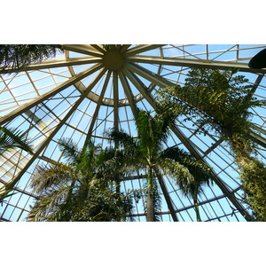 รูปถ่าย ฝรั่งเศส(France) นีส(Nice) สวนฟีนิกซ์(Phoenix Parc) 2007-10 102