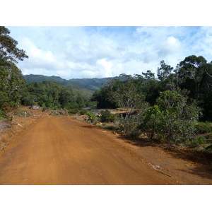 รูปถ่าย นิวแคลิโดเนีย(New Caledonia) อุทยานริเวียร์เบลอ(Parc de la Riviere Bleue) 2010-05 15