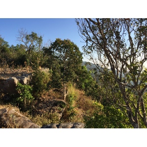 รูปถ่าย ไทย(Thailand) อุทยานแห่งชาติภูหินร่องกล้า(Phu Hin Rong Kla National Park) 2014-12 317