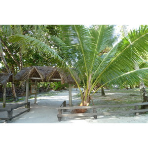 รูปถ่าย เซเชลส์(Seychelles) อ่าวอ็องส์ลาซิโอ(Anse Lazio) 2011-10 56