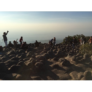 รูปถ่าย ไทย(Thailand) อุทยานแห่งชาติภูหินร่องกล้า(Phu Hin Rong Kla National Park) 2014-12 424
