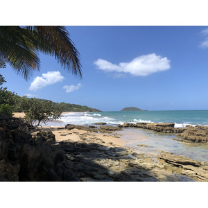 รูปถ่าย กวาเดอลูป(Guadeloupe) หาดกลูญี(Clugny Beach) 2021-02 3