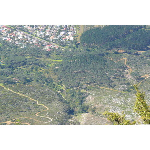 รูปถ่าย แอฟริกาใต้(South Africa) เคปทาวน์(Cape Town) ภูเขาเทเบิล(Table Mountain) 2008-09 51