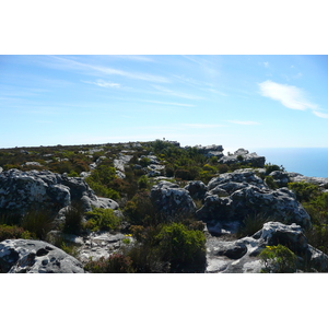 รูปถ่าย แอฟริกาใต้(South Africa) เคปทาวน์(Cape Town) ภูเขาเทเบิล(Table Mountain) 2008-09 53