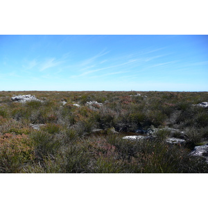 รูปถ่าย แอฟริกาใต้(South Africa) เคปทาวน์(Cape Town) ภูเขาเทเบิล(Table Mountain) 2008-09 58
