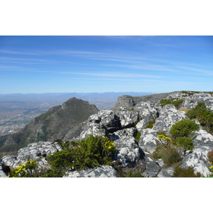 รูปถ่าย แอฟริกาใต้(South Africa) เคปทาวน์(Cape Town) ภูเขาเทเบิล(Table Mountain) 2008-09 61